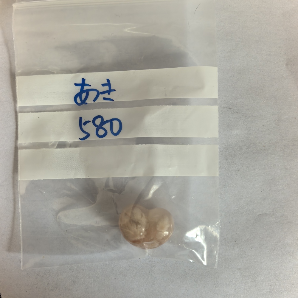 6L-02   あきちゃん6月27日生配信専用の購入ページ（支払い期限6月28日23時59分）