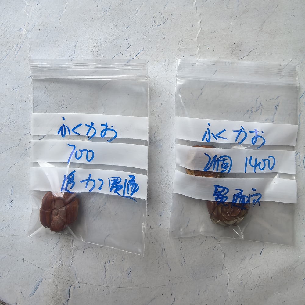 7C-02　 ちゃん7月6日-7月7日生配信専用の購入ページ（支払い期限7月10日23時59分）