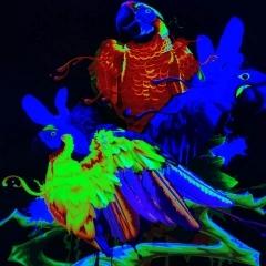 Сублимационные чернила HD-NEON