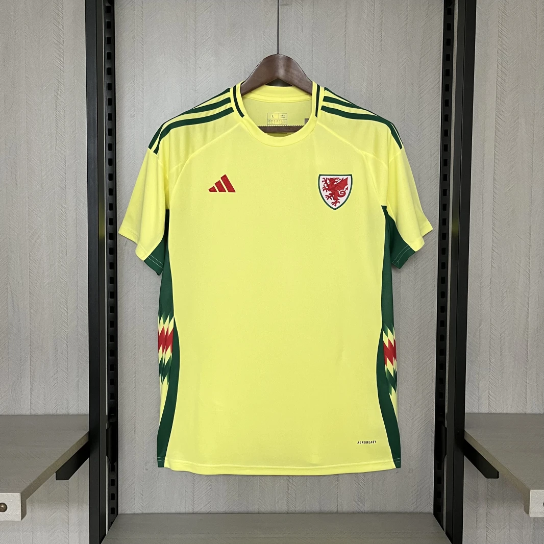 2024-25 Wales Away Football jersey