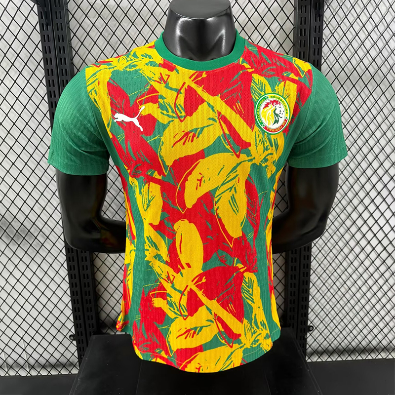 Player 2024-25 Senegal Special Edition Football jersey