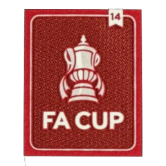 FA CUP 14