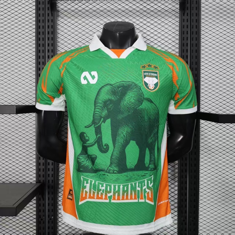 Player 2026 Côte d'Ivoire Special Edition Football jersey