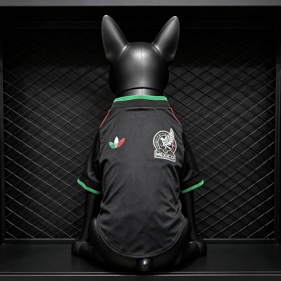2026 Pet Mexico Third Away Football jersey