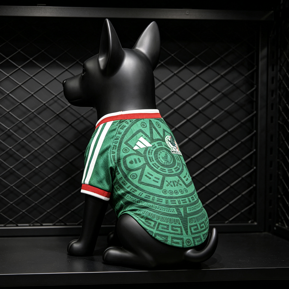 2026 Pet Mexico Away Football jersey