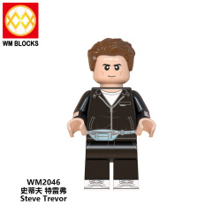 WM6100 DC Marvel superhero Wonder Woman Cheetah Diana Prince Steve Trevor  mini figures juguetes mini toys building blocks sets Toys for kids