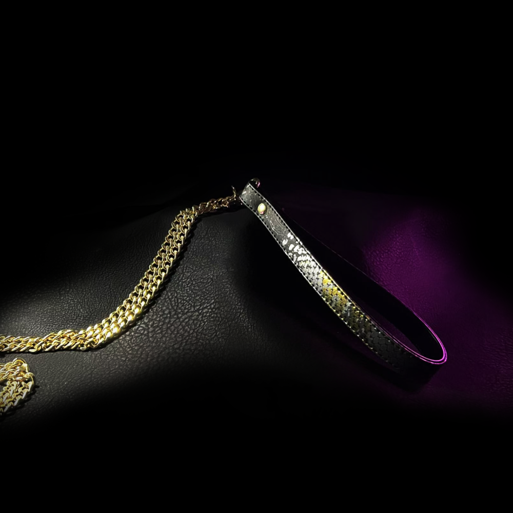 Midnight Radiance Leash