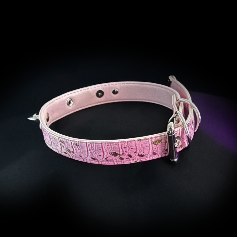 Blush Spiked Passion Collar