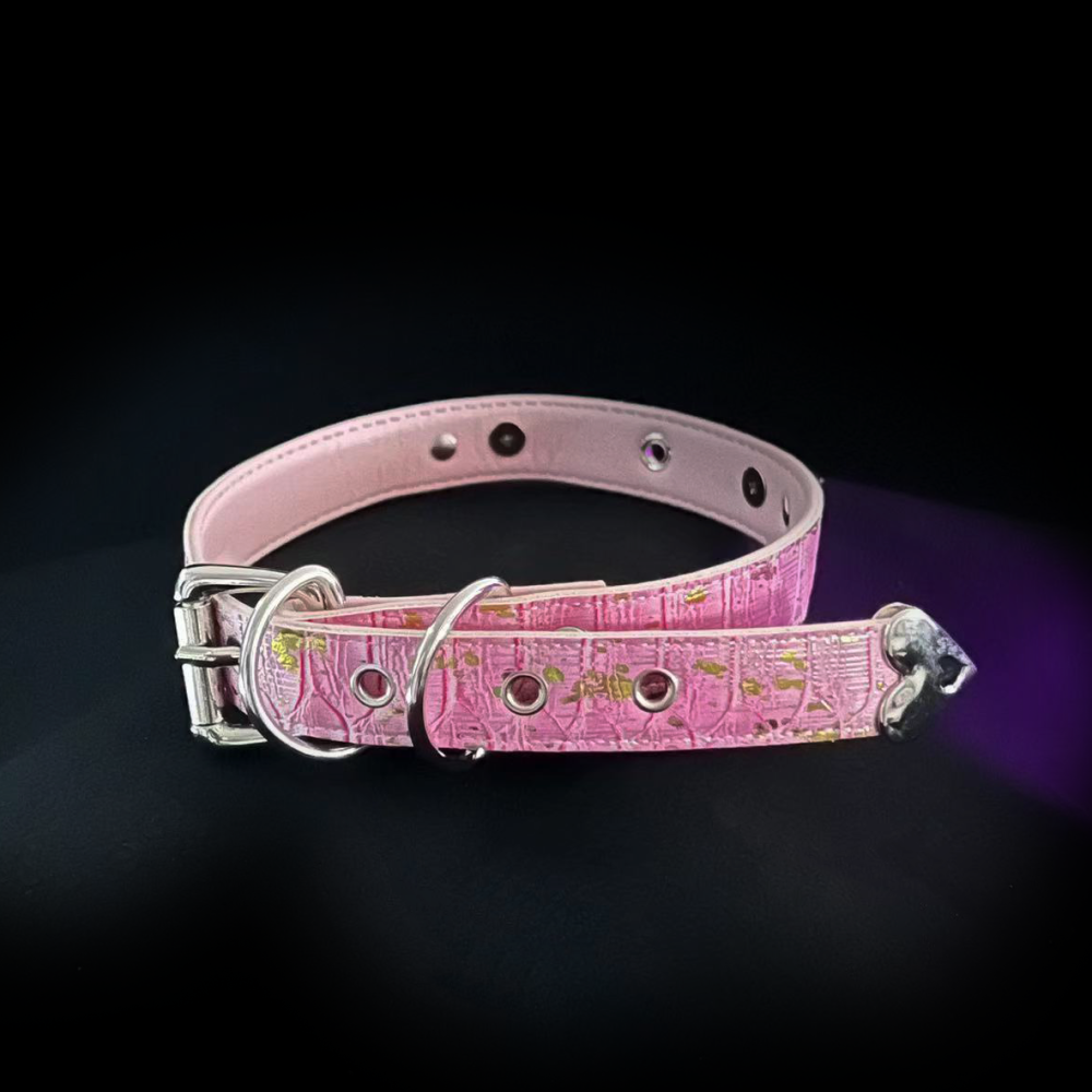 Blush Spiked Passion Collar