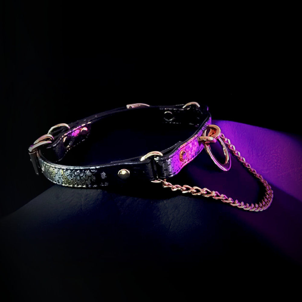 Lunar Chain Collar