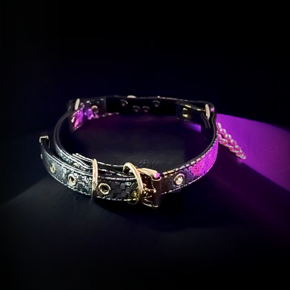 Lunar Chain Collar