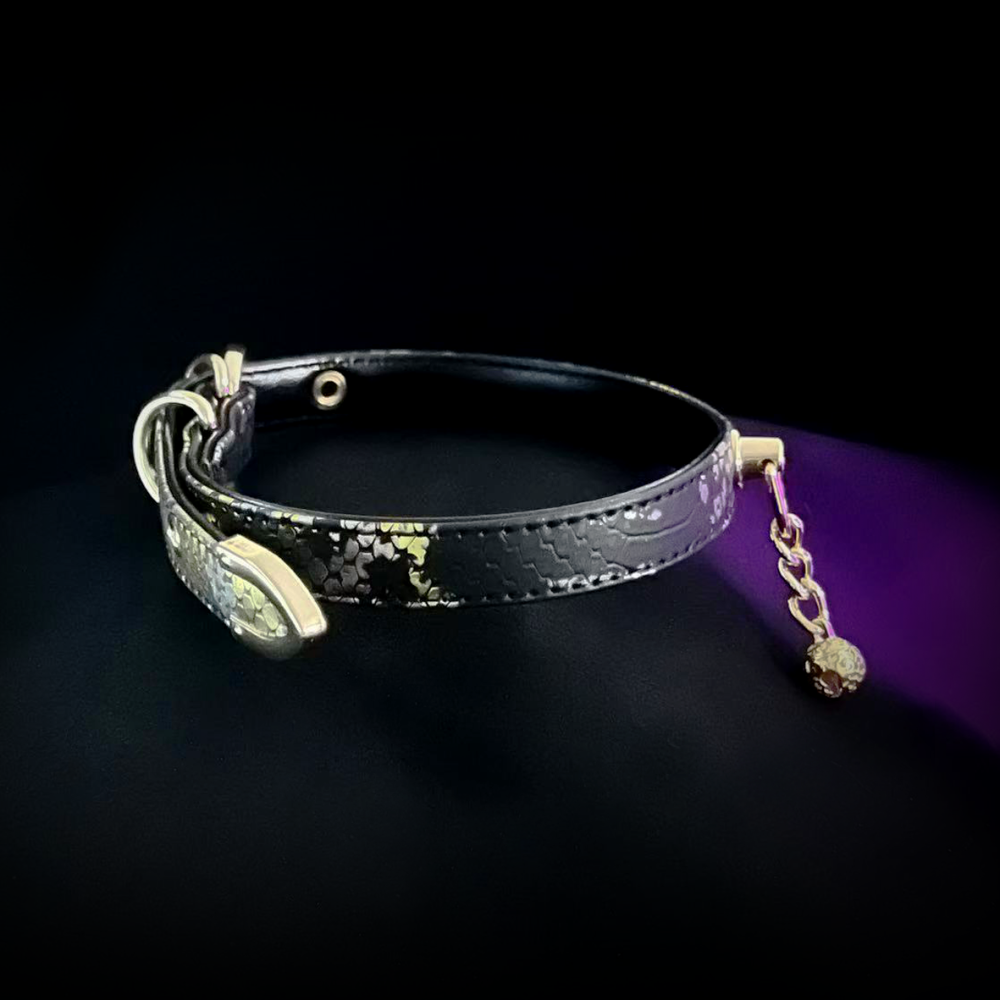 Golden Loop Collar