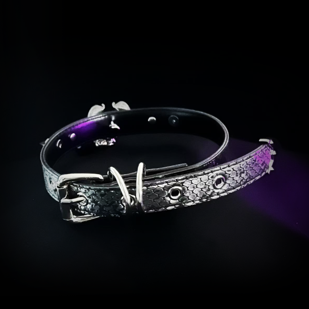 Dark Wings Collar