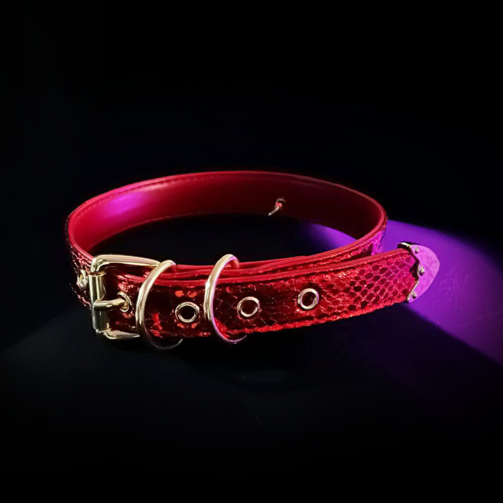Scarlet Flame Collar