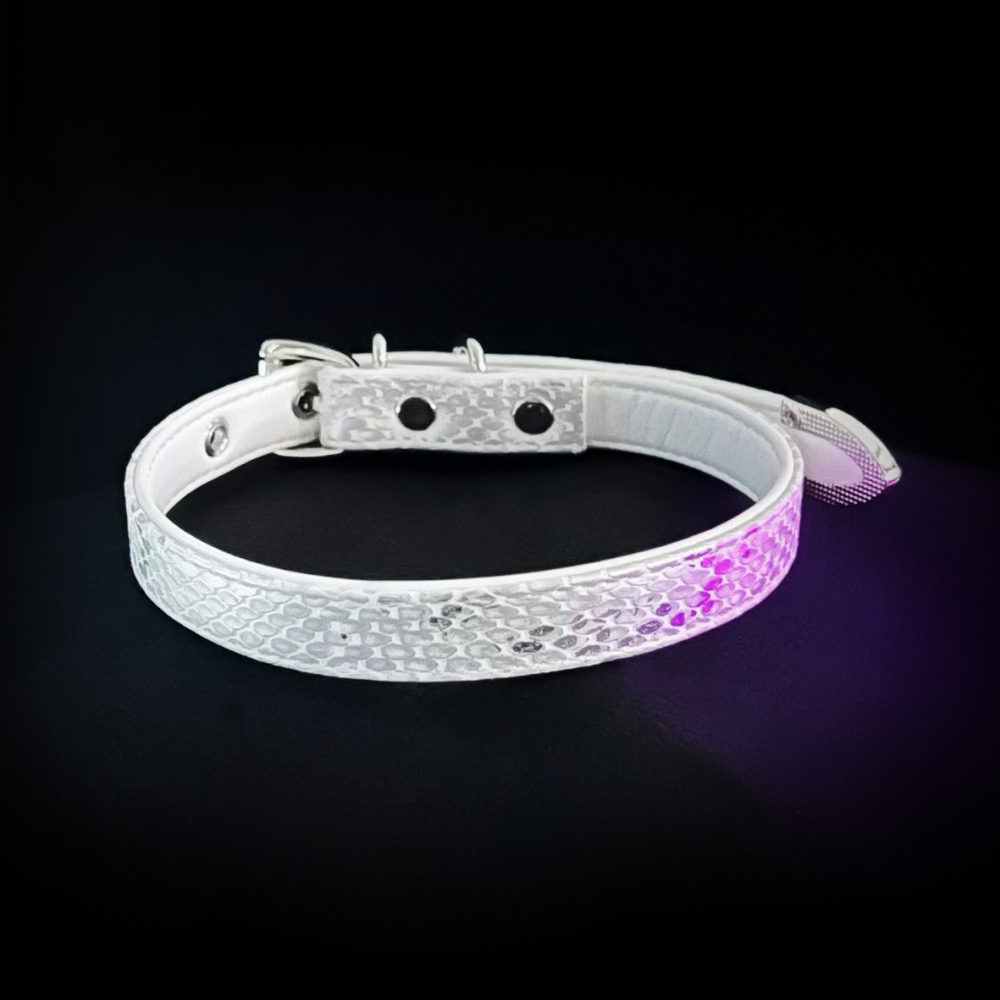 Icy White Collar