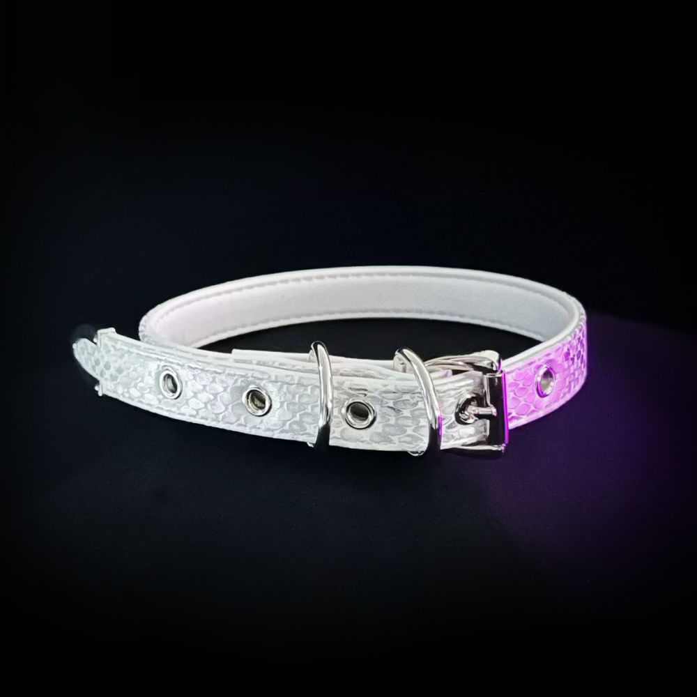 Icy White Collar