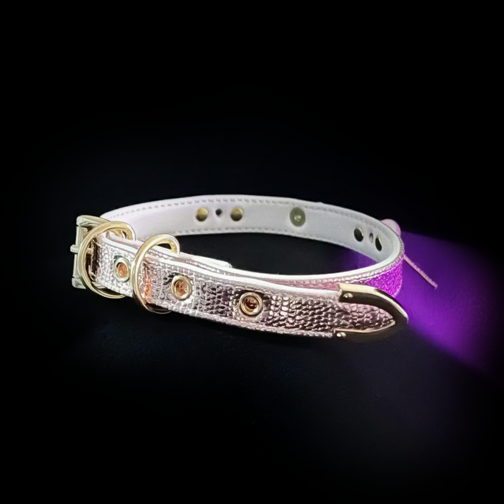 Butterfly Grace Collar