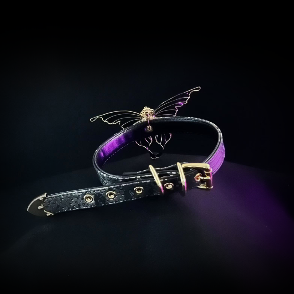 Midnight Eclipse Collar