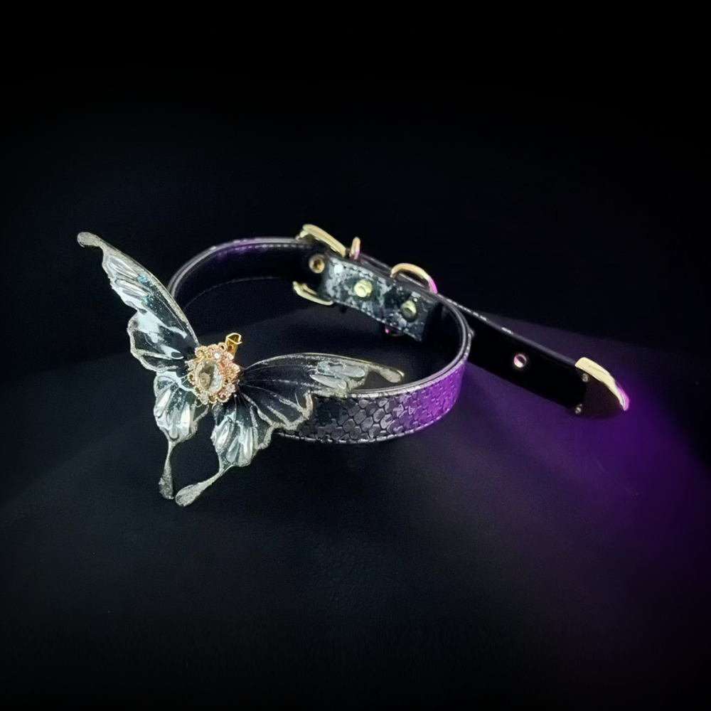 Midnight Eclipse Collar