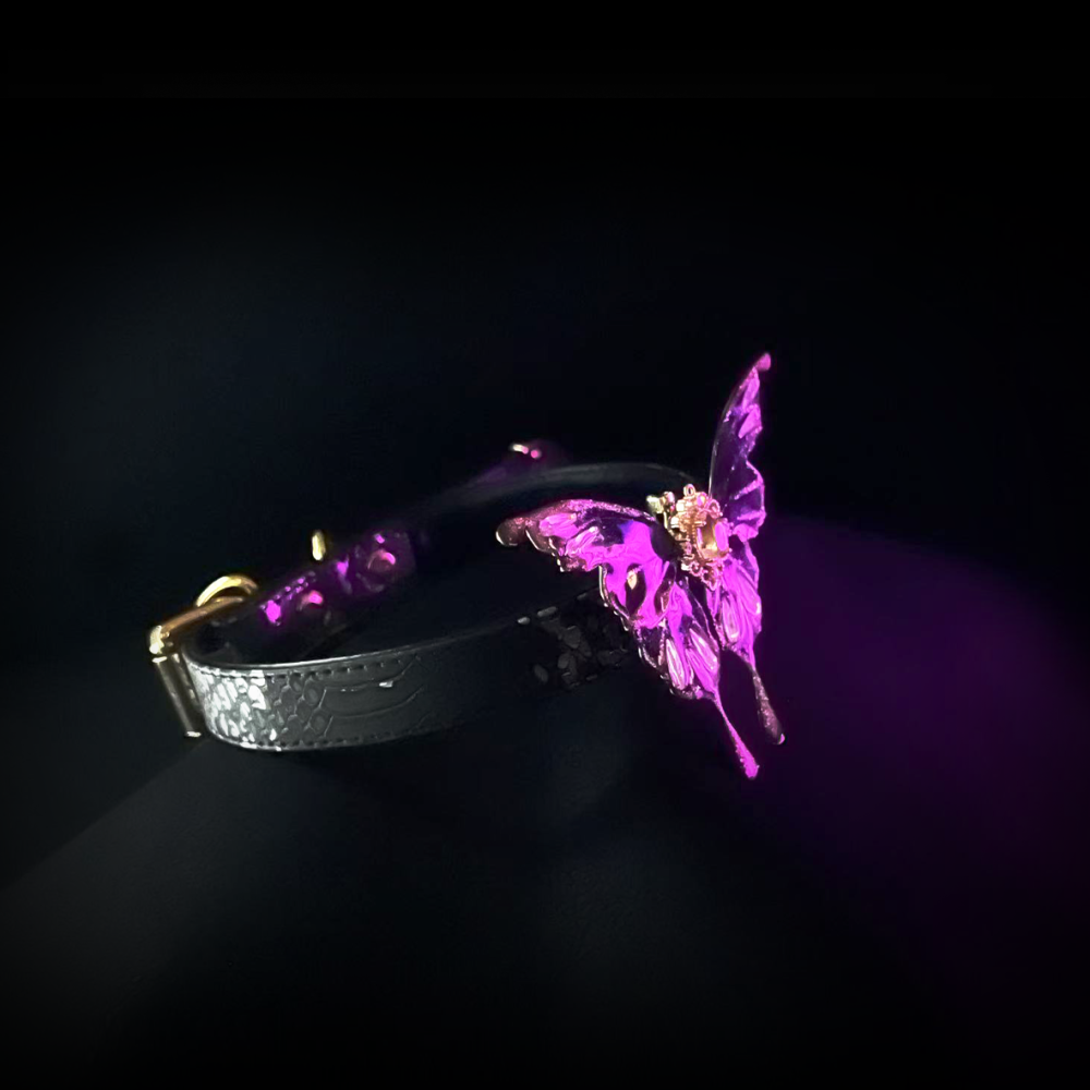 Midnight Eclipse Collar