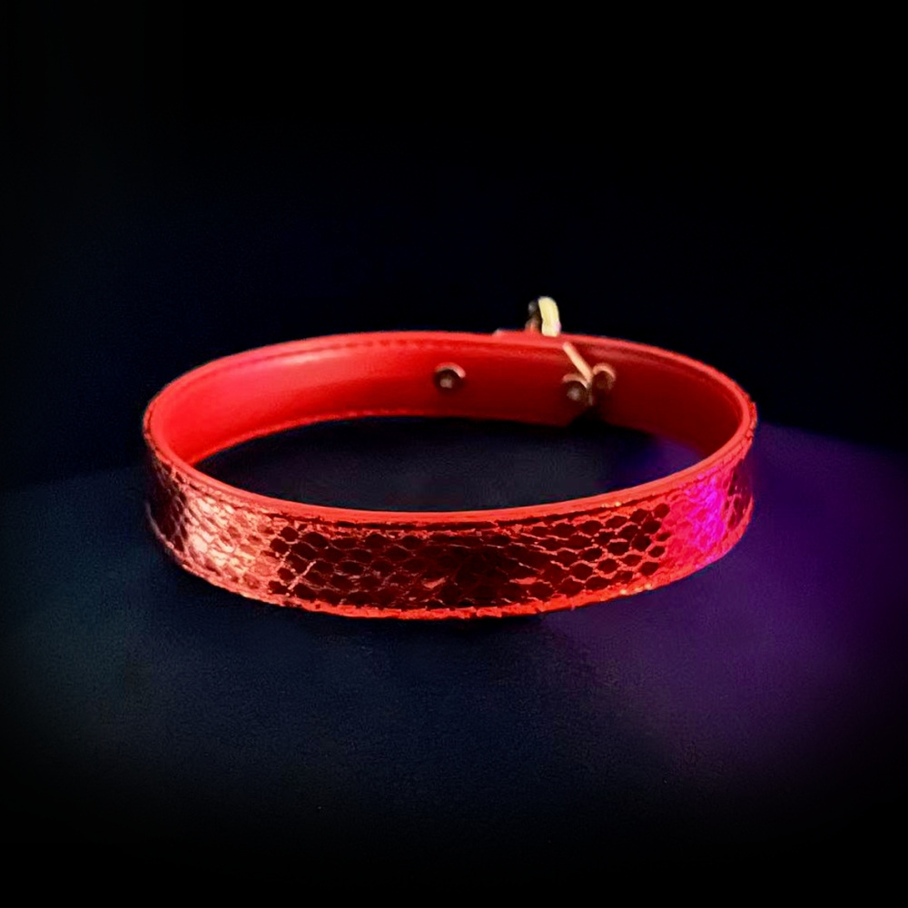 Crimson Cross Collar