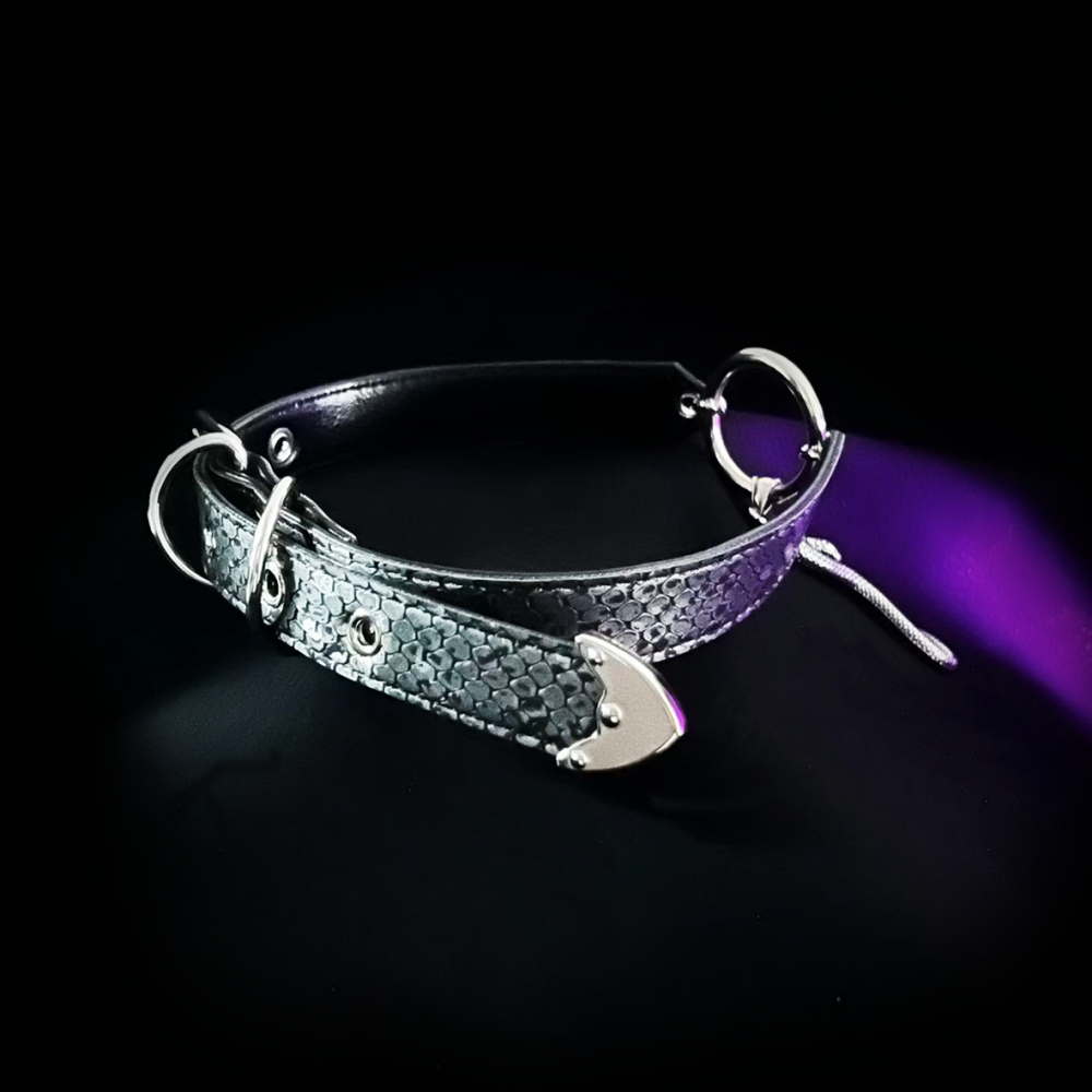 Serpent Embrace Control Collar