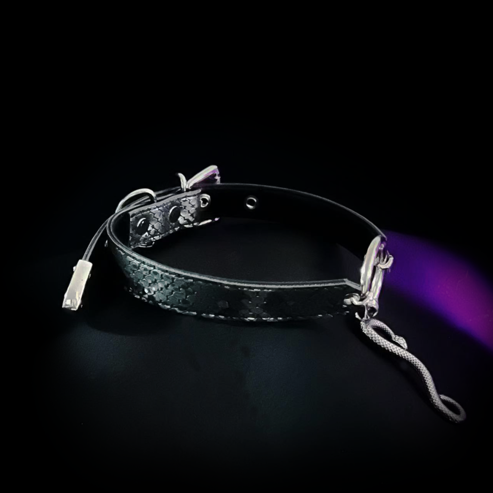 Serpent Embrace Control Collar