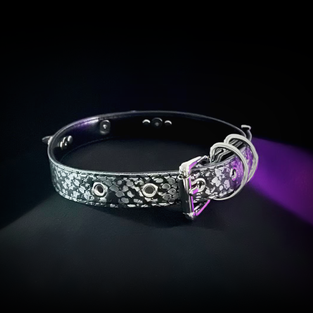 Midnight Wings Collar