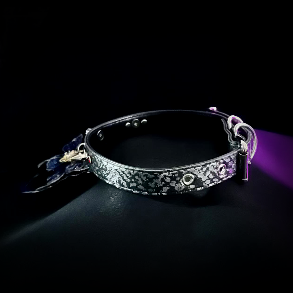 Midnight Wings Collar