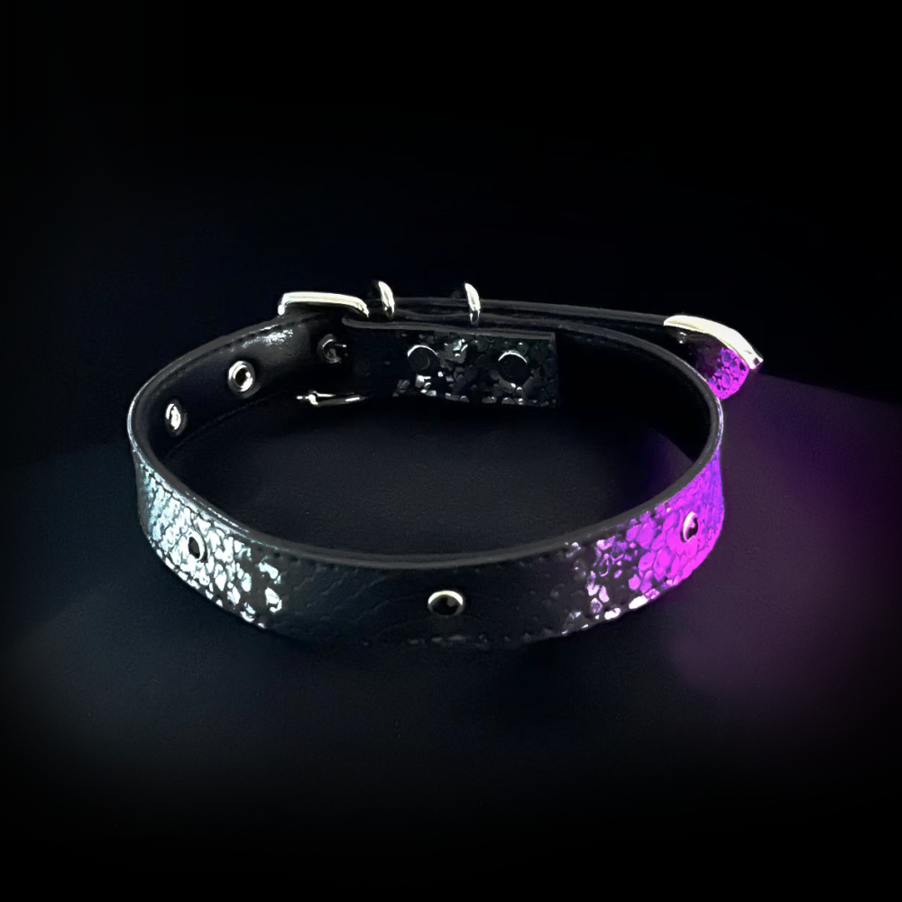 Midnight Shadow Collar