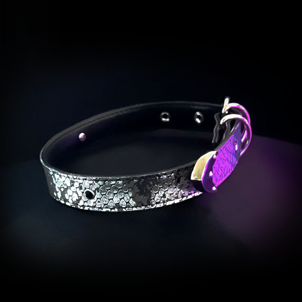 Midnight Shadow Collar