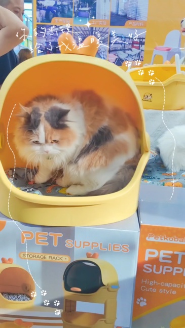 source factory All-in-One Cat Villa，Litter Box • Climate-Controlled Bedding • Dine-in Luxury