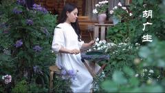 Hluru STEEL TONGUE DRUM Premium Jewel Print Drum (11 Notes 14") , Microalloyed Steel premium jewel print drum (11 notes 14") , microalloyed steel TBP11-14