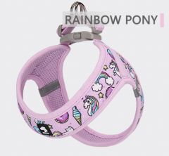 RAINBOW PONY
