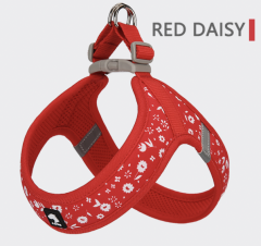 RED DAISY