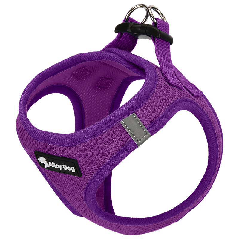 Timeless Comfort Dog Vest – Breathable Mesh, Reflective, No-Choke Design