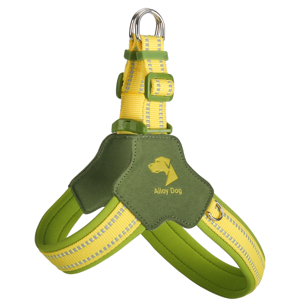Sweet Style Candy-Themed Dog Harness – Adjustable & Breathable