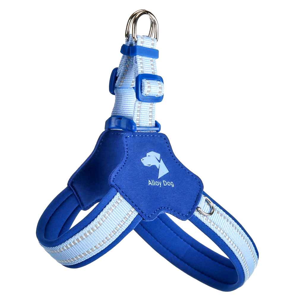 Sweet Style Candy-Themed Dog Harness – Adjustable & Breathable