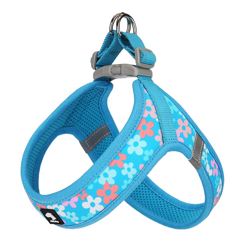 All-Season Outdoor Harness Set – Lightweight, Reflective, and Secure