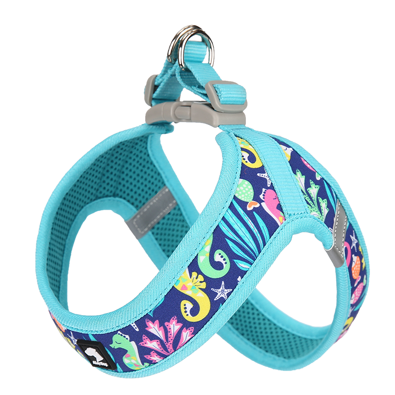 All-Season Outdoor Harness Set – Lightweight, Reflective, and Secure