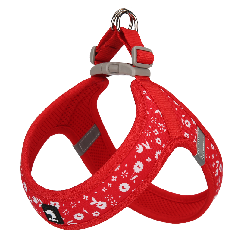 All-Season Outdoor Harness Set – Lightweight, Reflective, and Secure