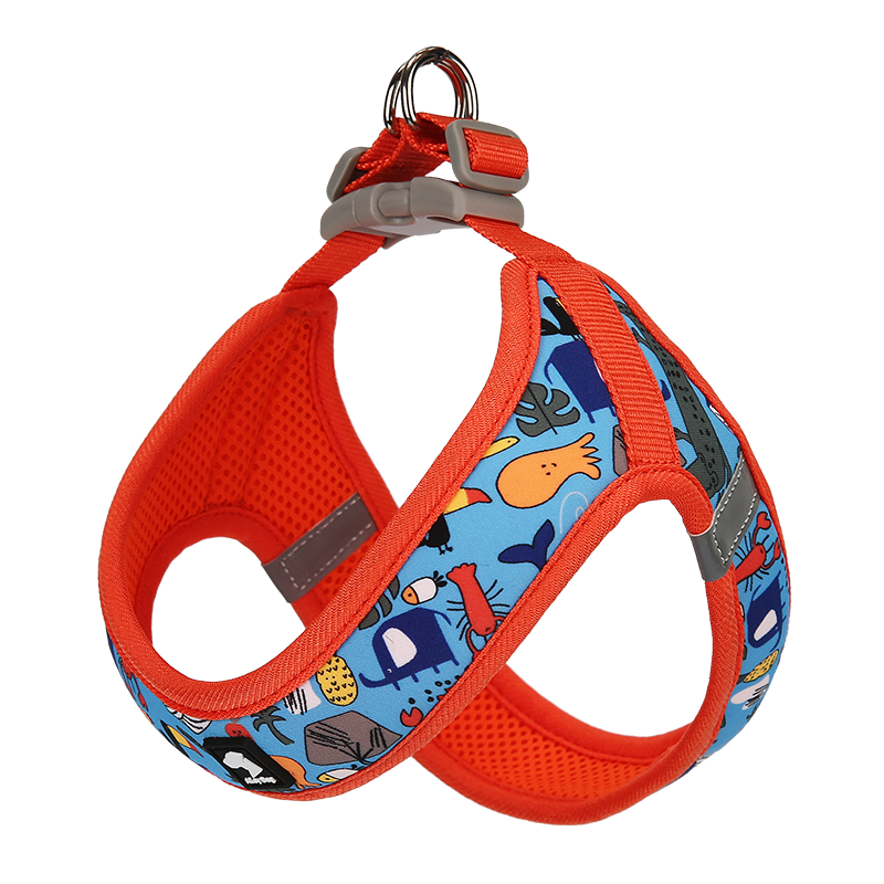 All-Season Outdoor Harness Set – Lightweight, Reflective, and Secure