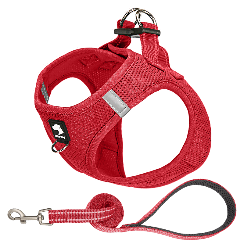 Dog Harness Kit