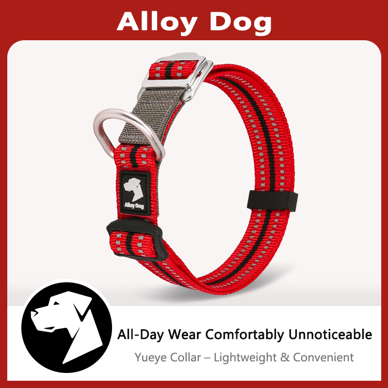 WILDPLEASURE COLLAR