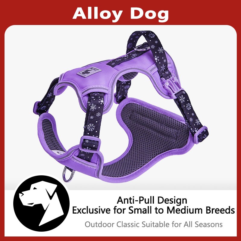 LIGHTWEIGHT HARNESS