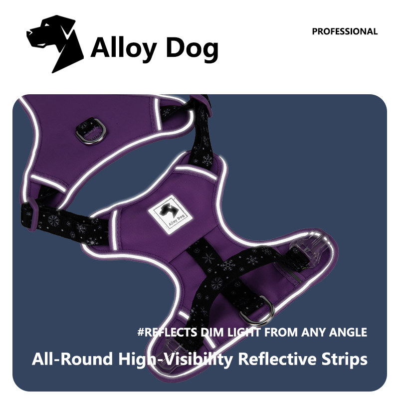 LIGHTWEIGHT HARNESS