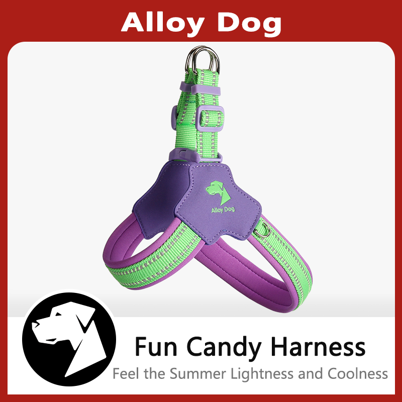 Candy Themed Harness