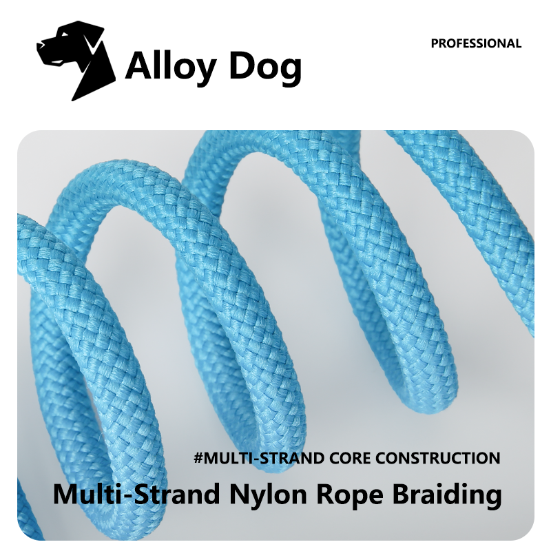 Dog Rope Leash