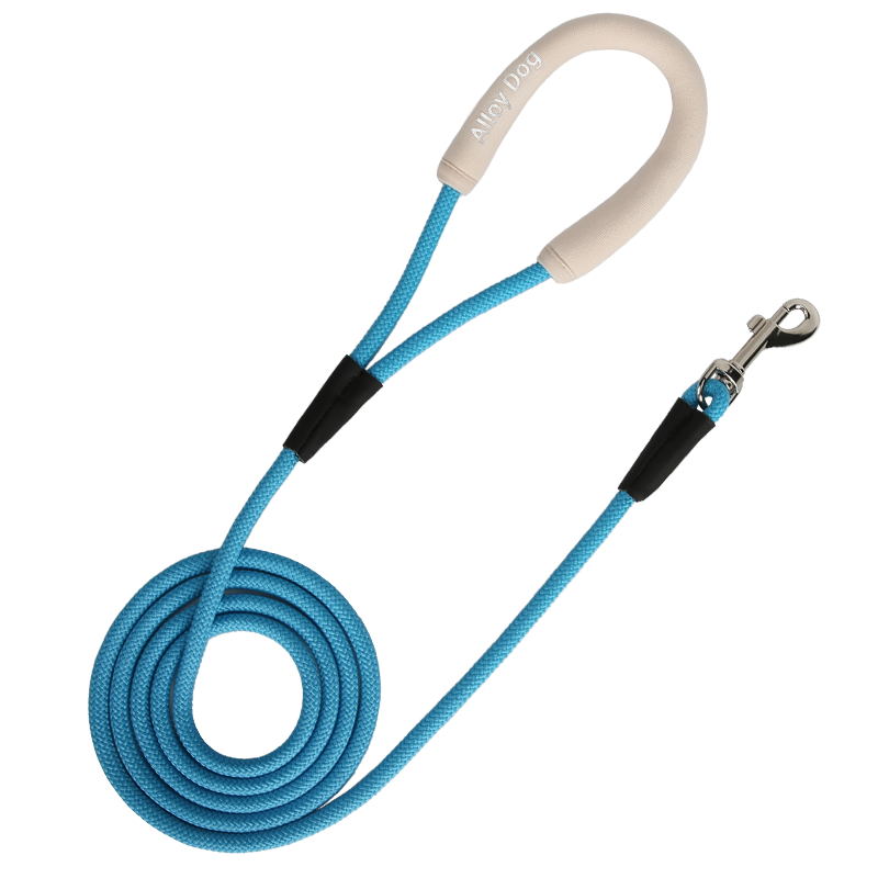 Alloy Dog Rope Leash