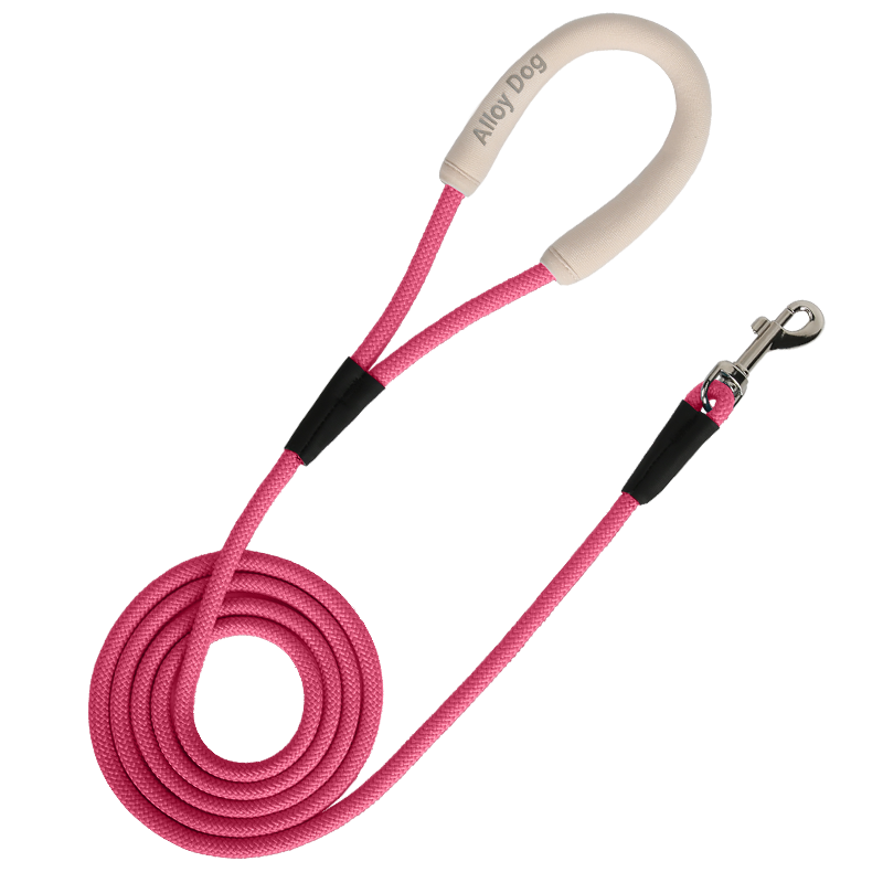 Alloy Dog Rope Leash